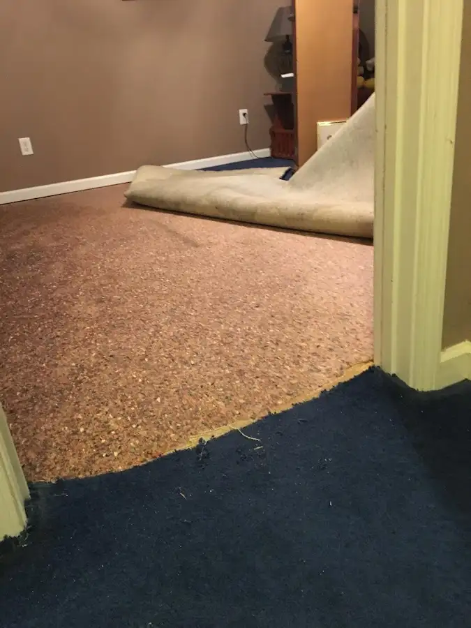 Carpet pad removal revealing water damage during Water Mitigation Services in Tyngsborough
